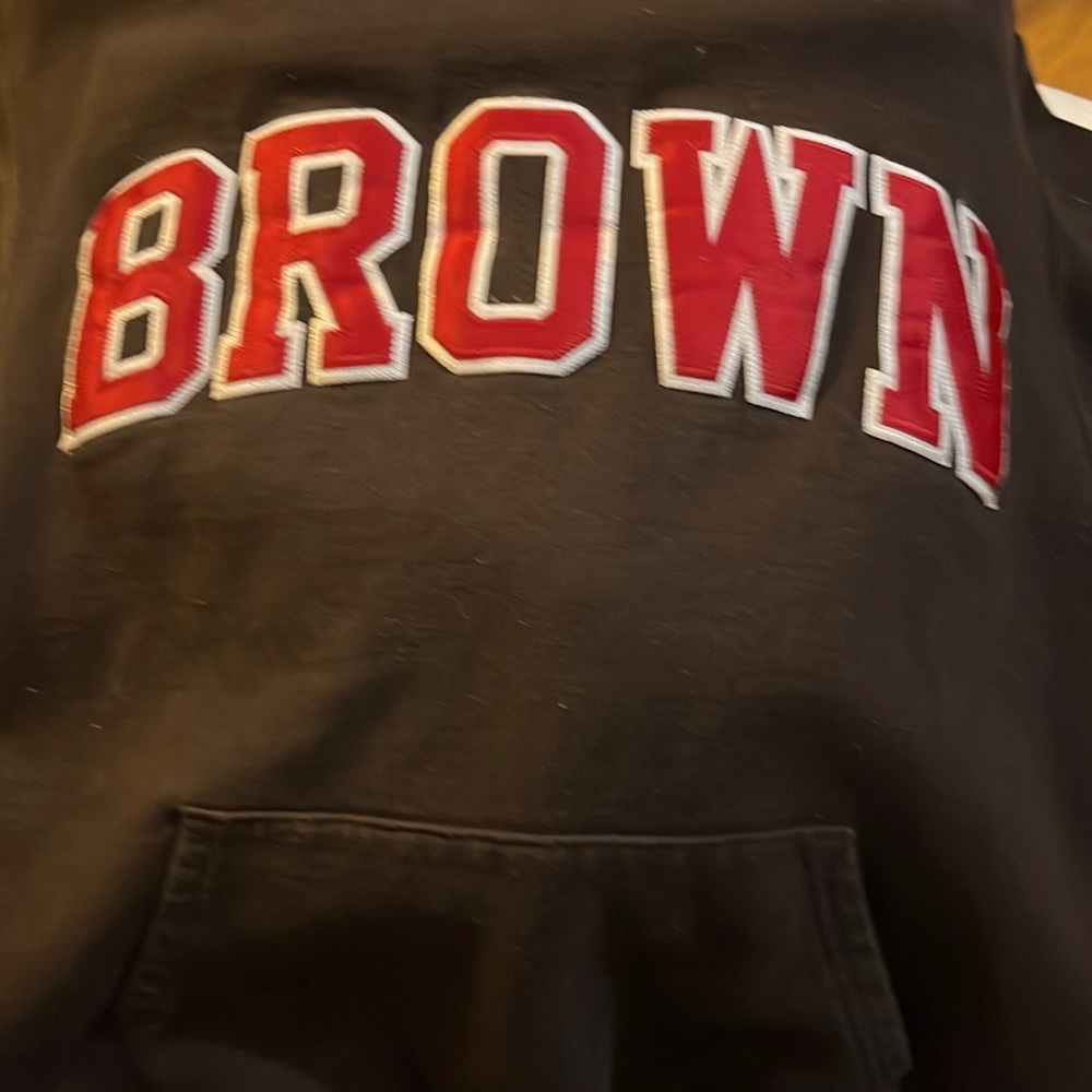 Brown College Hoodie Champion